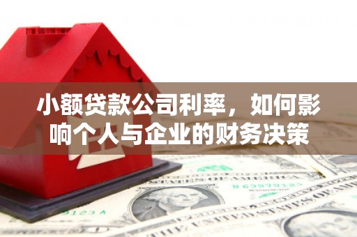 寿丰小额贷款公司利率，如何影响个人与企业的财务决策