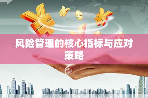 寿丰风险管理的核心指标与应对策略