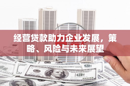 寿丰经营贷款助力企业发展，策略、风险与未来展望