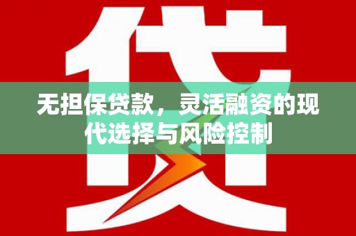 寿丰无担保贷款，灵活融资的现代选择与风险控制