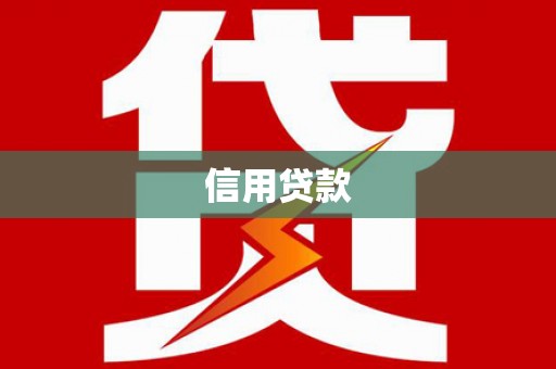 寿丰信用贷款