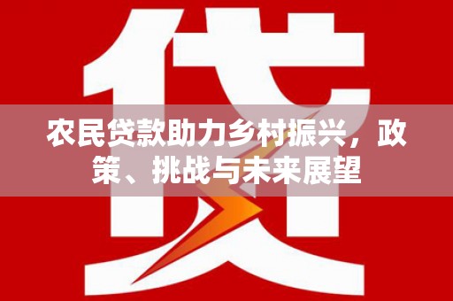 寿丰农民贷款助力乡村振兴，政策、挑战与未来展望