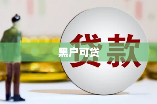 寿丰黑户可贷
