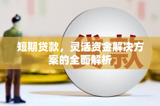 寿丰短期贷款，灵活资金解决方案的全面解析