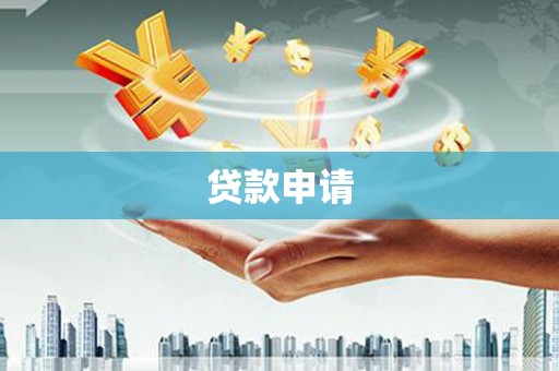 寿丰贷款申请