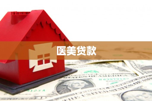 寿丰医美贷款