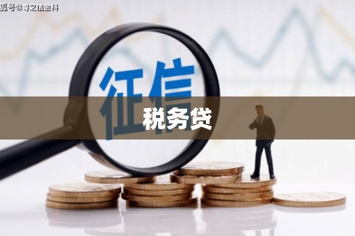 寿丰税务贷