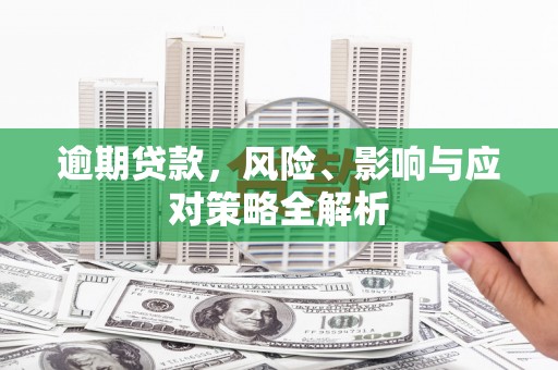 寿丰逾期贷款，风险、影响与应对策略全解析