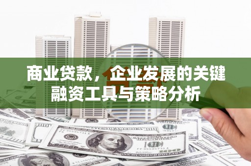 寿丰商业贷款，企业发展的关键融资工具与策略分析