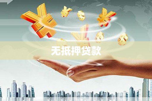寿丰无抵押贷款