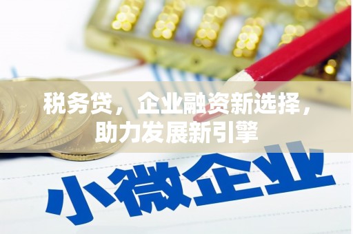 寿丰税务贷，企业融资新选择，助力发展新引擎