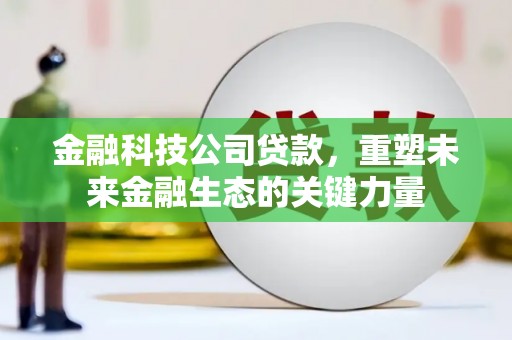 寿丰金融科技公司贷款，重塑未来金融生态的关键力量