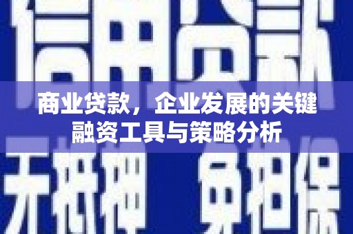 寿丰商业贷款，企业发展的关键融资工具与策略分析