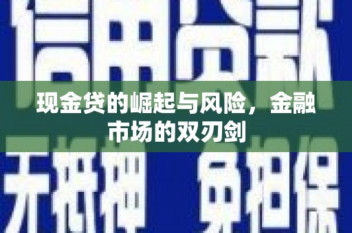 寿丰现金贷的崛起与风险，金融市场的双刃剑