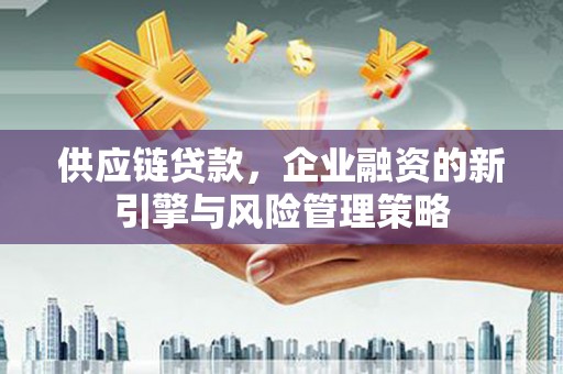 寿丰供应链贷款，企业融资的新引擎与风险管理策略