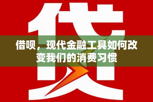 寿丰借呗，现代金融工具如何改变我们的消费习惯