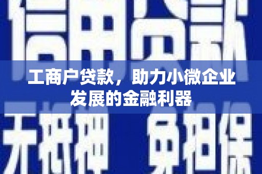寿丰工商户贷款，助力小微企业发展的金融利器