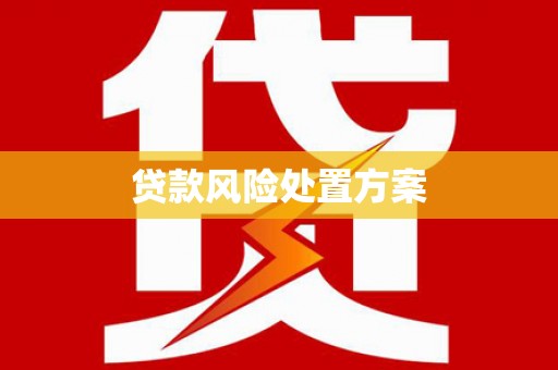 寿丰贷款风险处置方案