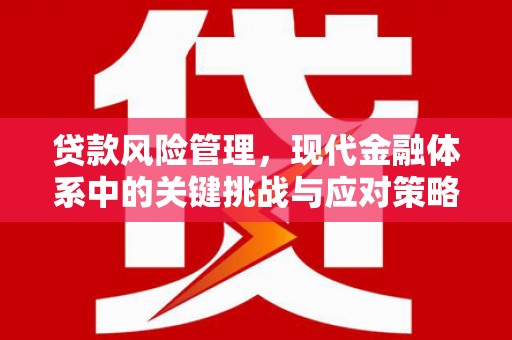 寿丰贷款风险管理，现代金融体系中的关键挑战与应对策略