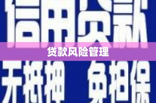 寿丰贷款风险管理