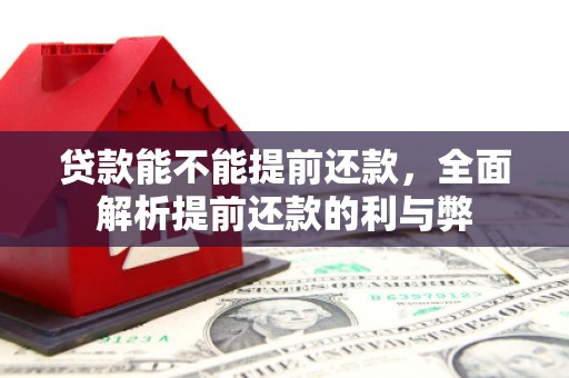 寿丰贷款能不能提前还款，全面解析提前还款的利与弊