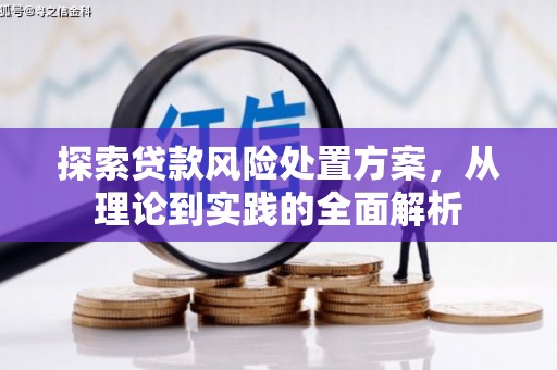 寿丰探索贷款风险处置方案，从理论到实践的全面解析