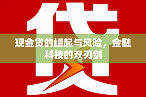 寿丰现金贷的崛起与风险，金融科技的双刃剑