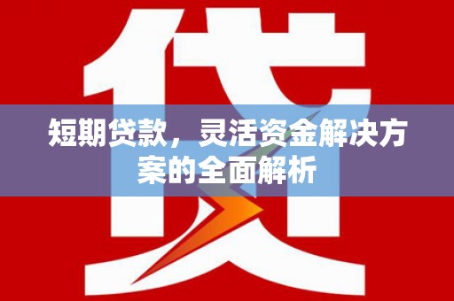 寿丰短期贷款，灵活资金解决方案的全面解析