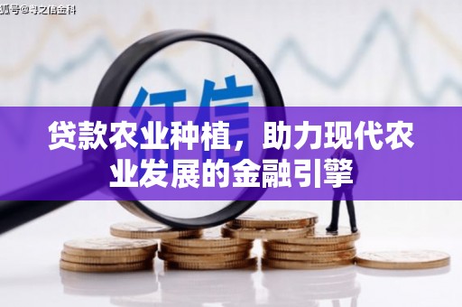 寿丰贷款农业种植，助力现代农业发展的金融引擎