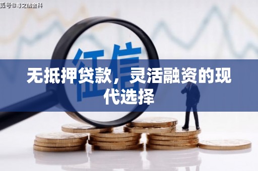 寿丰无抵押贷款，灵活融资的现代选择