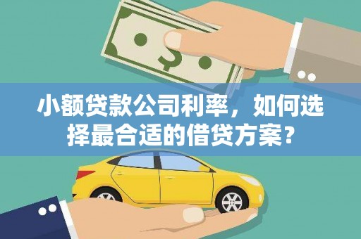 寿丰小额贷款公司利率，如何选择最合适的借贷方案？