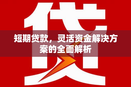 寿丰短期贷款，灵活资金解决方案的全面解析