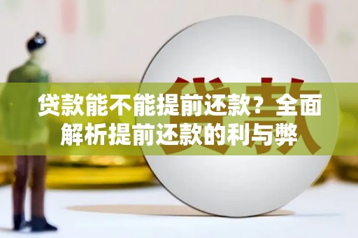 寿丰贷款能不能提前还款？全面解析提前还款的利与弊