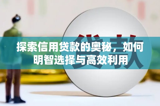 寿丰探索信用贷款的奥秘，如何明智选择与高效利用
