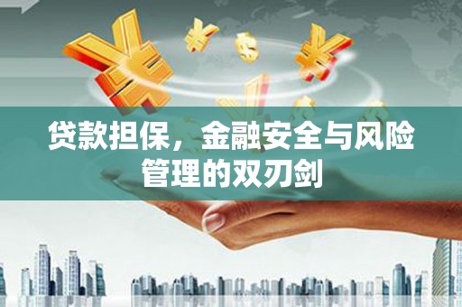 寿丰贷款担保，金融安全与风险管理的双刃剑