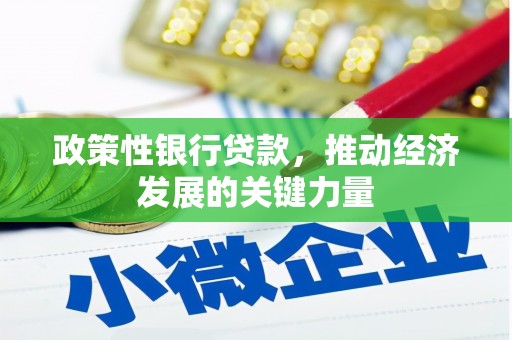 寿丰政策性银行贷款，推动经济发展的关键力量