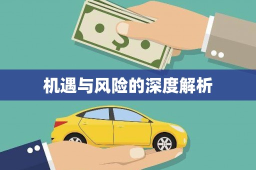 寿丰机遇与风险的深度解析