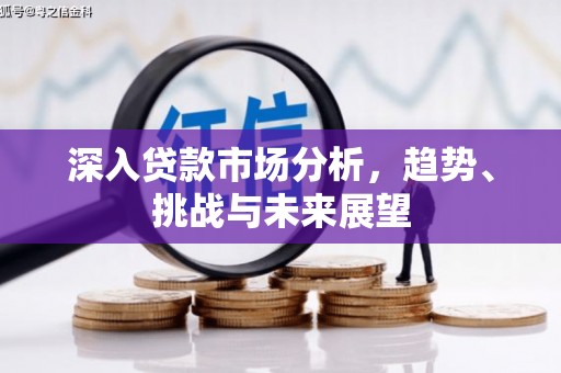 寿丰深入贷款市场分析，趋势、挑战与未来展望