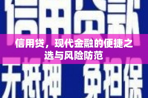 寿丰信用贷，现代金融的便捷之选与风险防范