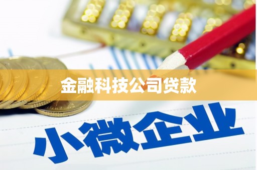 寿丰金融科技公司贷款
