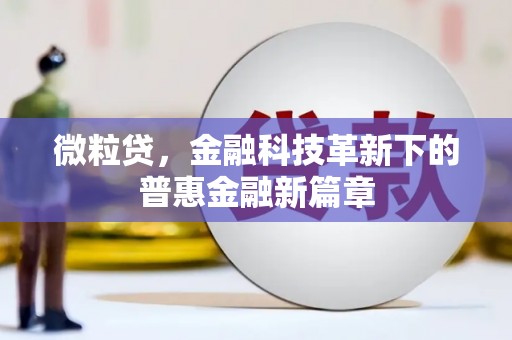 寿丰微粒贷，金融科技革新下的普惠金融新篇章
