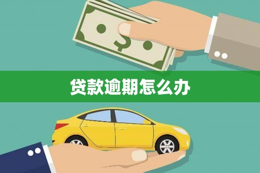 寿丰贷款逾期怎么办