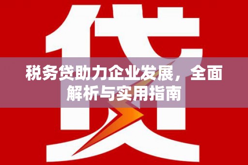 寿丰税务贷助力企业发展，全面解析与实用指南