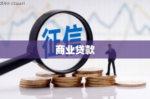 寿丰商业贷款