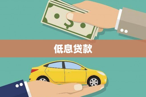 寿丰低息贷款