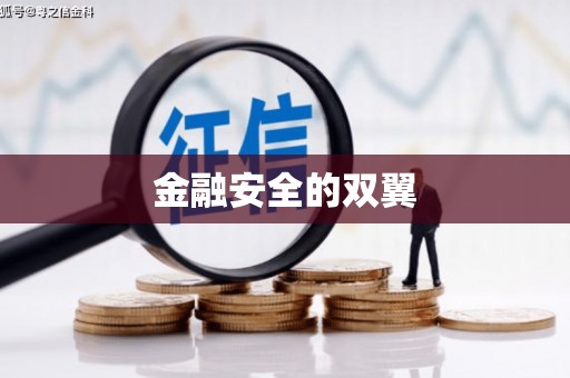 寿丰金融安全的双翼