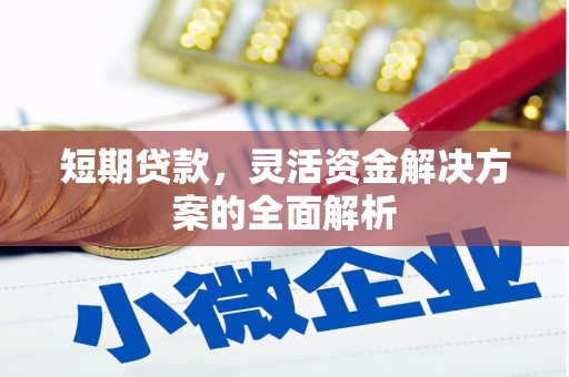 寿丰短期贷款，灵活资金解决方案的全面解析