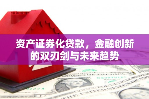 寿丰资产证券化贷款，金融创新的双刃剑与未来趋势