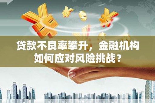 寿丰贷款不良率攀升，金融机构如何应对风险挑战？
