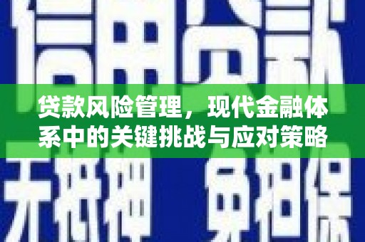 寿丰贷款风险管理，现代金融体系中的关键挑战与应对策略